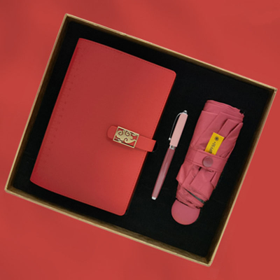 - Chick Business Gift Set Quaderno Autografo Penna Sole Umbrello per Incentivi Aziendali