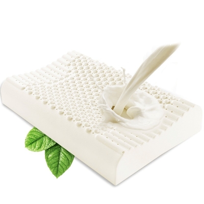 Cuscini di lattice thailandesi Coni di cotone e di lattice a maglia Un regalo speciale con la stampa