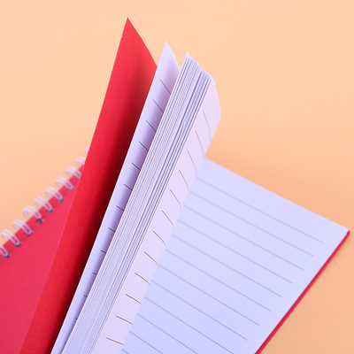 Set di blocchi di appunti minimalisti Disegno di bobina a colori solidi Colori multipli e carta per il 2024 Regalo