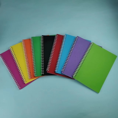 Set di blocchi di appunti minimalisti Disegno di bobina a colori solidi Colori multipli e carta per il 2024 Regalo