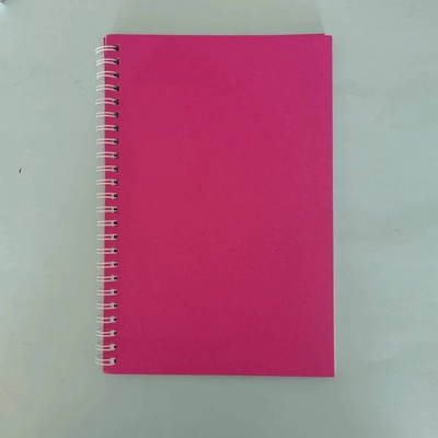 Set di blocchi di appunti minimalisti Disegno di bobina a colori solidi Colori multipli e carta per il 2024 Regalo
