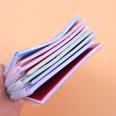 Set di blocchi di appunti minimalisti Disegno di bobina a colori solidi Colori multipli e carta per il 2024 Regalo