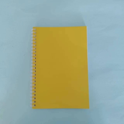 Set di blocchi di appunti minimalisti Disegno di bobina a colori solidi Colori multipli e carta per il 2024 Regalo
